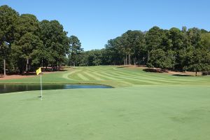 Reynolds (Great Waters) 2nd Back